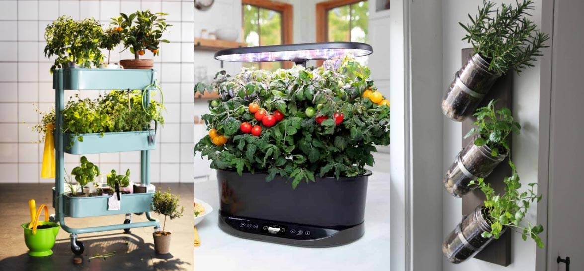 Awesome Small Garden Ideas