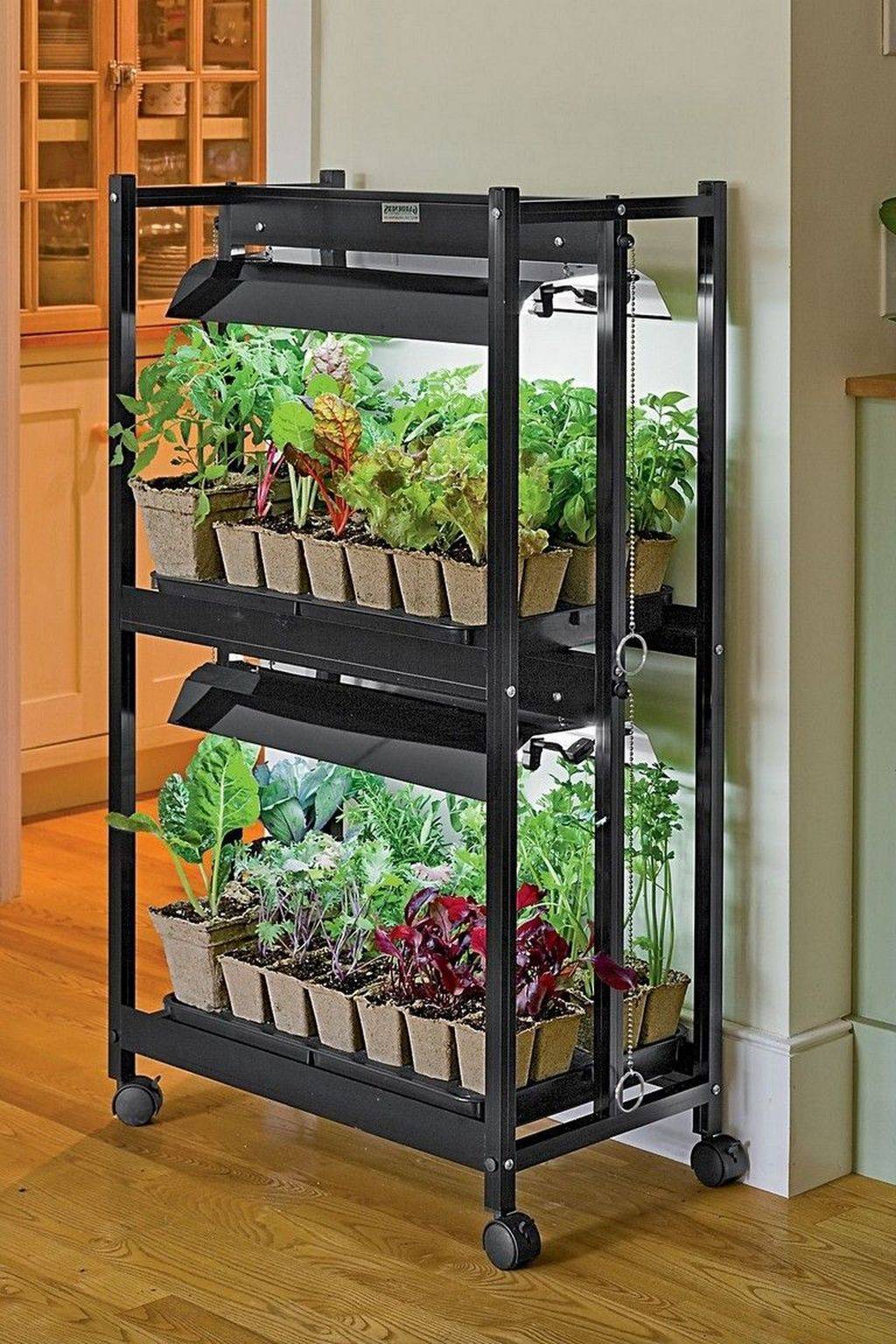 Easy Small Vegetable Garden Ideas