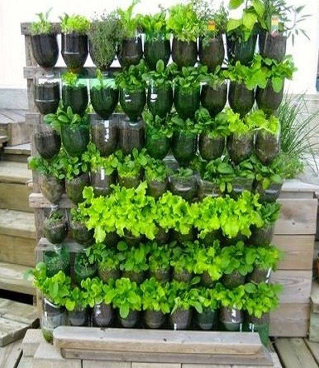 Indoor Apartment Vegetable Gardening