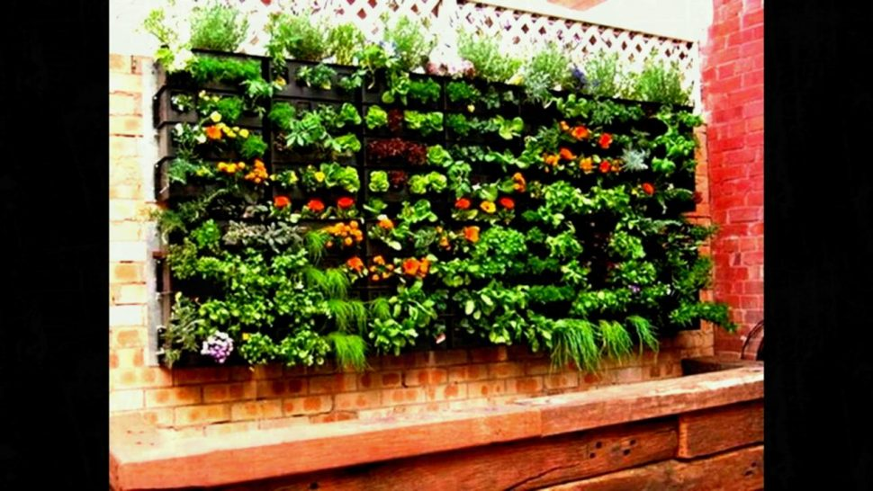 Related Image Garden Layout Vegetable