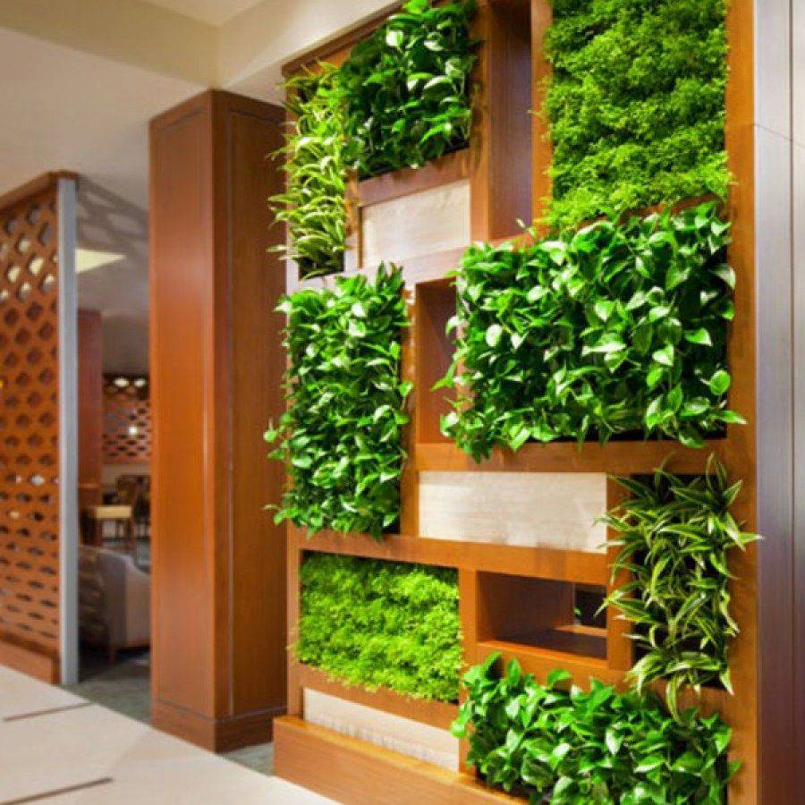 22 Indoor Wall Vegetable Garden Ideas Worth a Look SharonSable