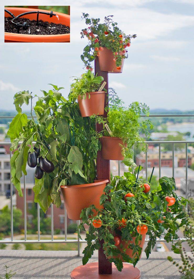 Aquaponic Vertical Vegetable Garden