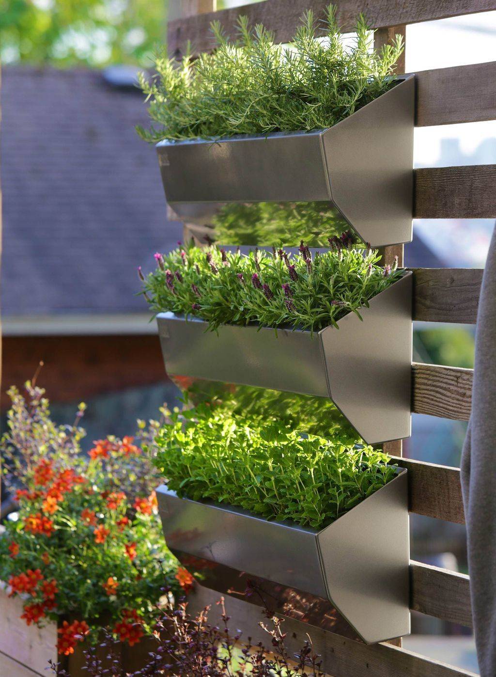 Vertical Garden Design Ideas