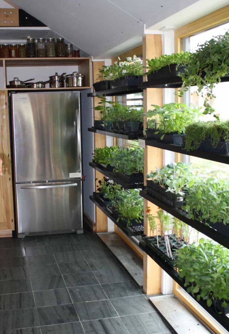 Modern Amazing Indoor Garden Ideas
