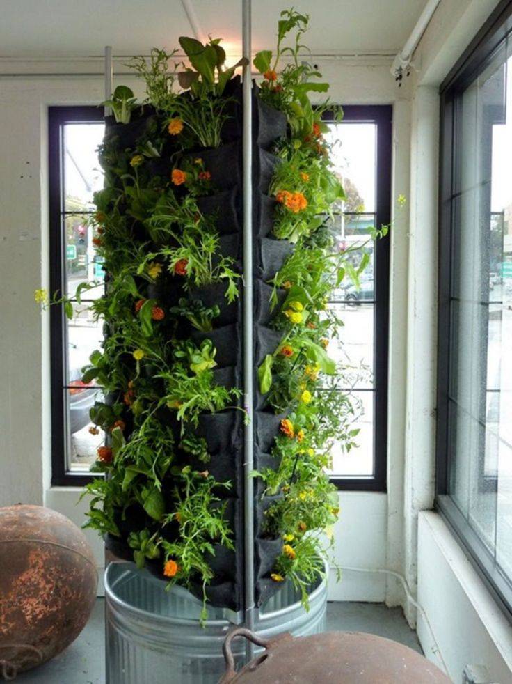 Indoor Hydroponic Wall Garden