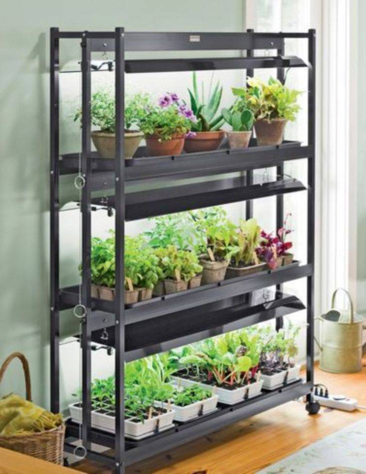 Indoor Vegetable Garden System Home And Garden Designs