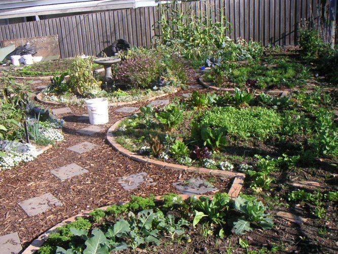 A Permaculture Garden