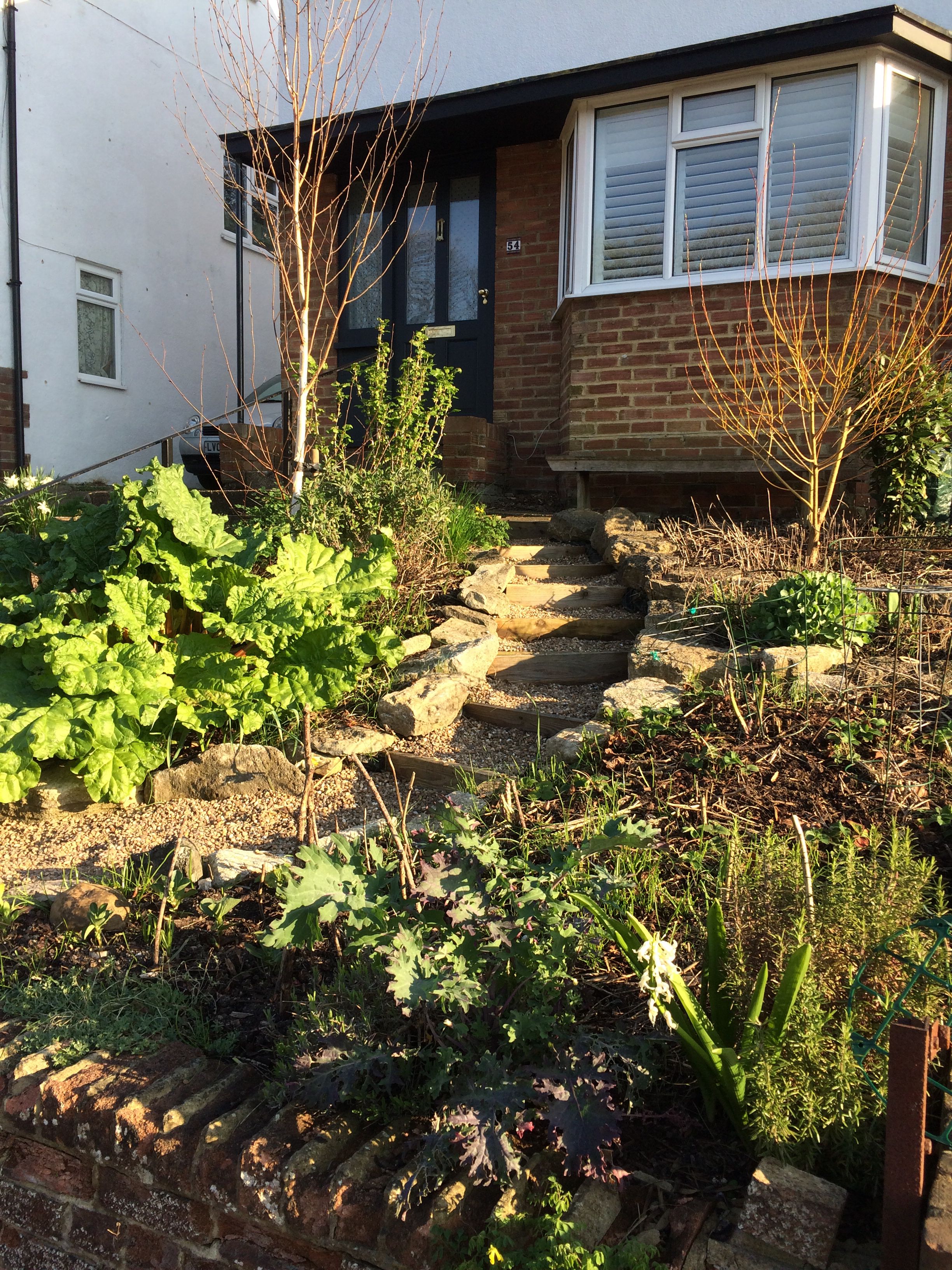 Food Forest Garden