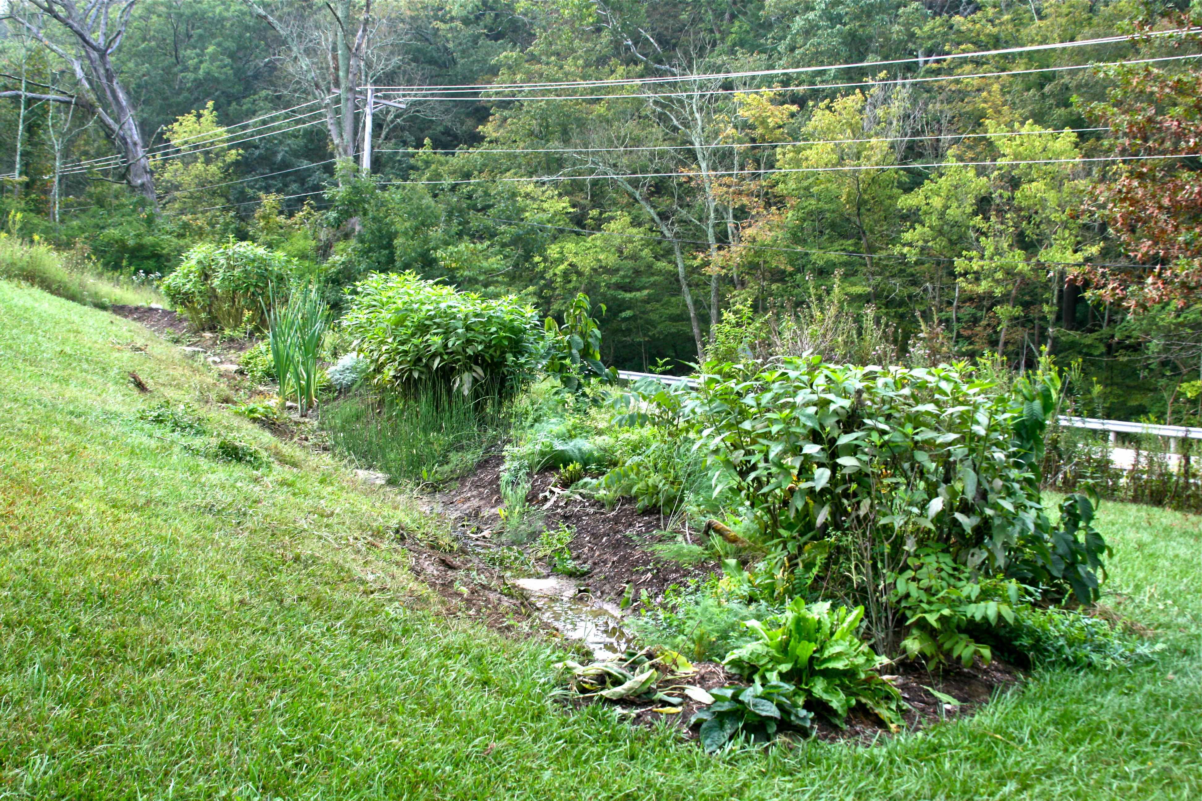 Permaculture Gardening