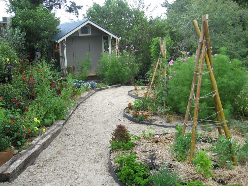 A Forest Garden