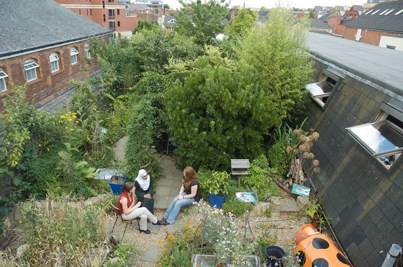 The Little Apartment Balcony Garden