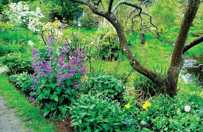 Landscaping Beautifying Yard