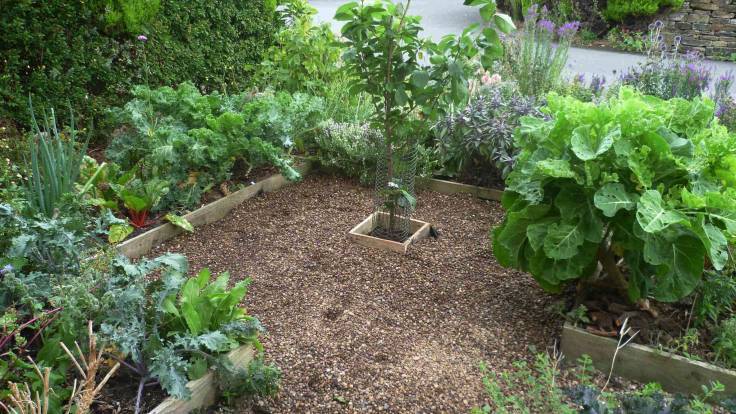 Small Yard Landscaping Ideas