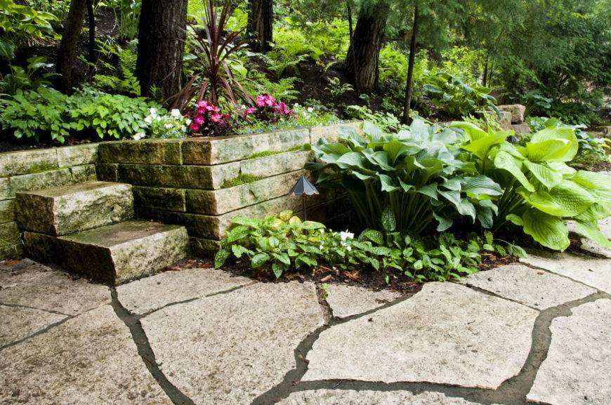 Sustainable Design Challenge Scarce