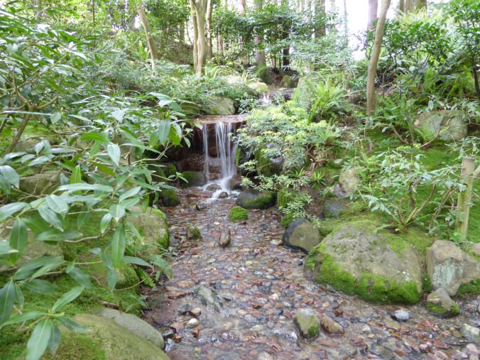 The Sevenlayer Garden Forest Garden