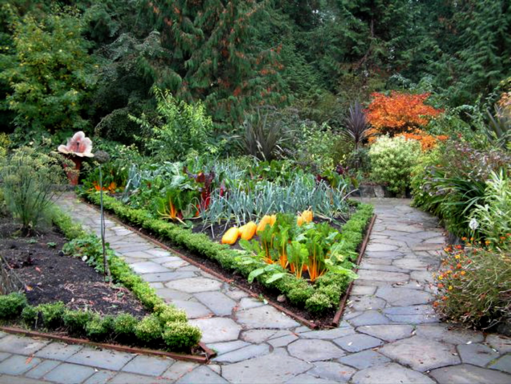 Backyard Woods Landscaping Design Ideas