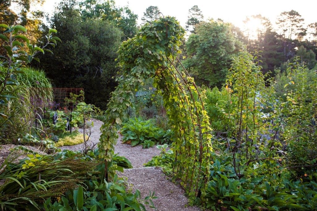 Design Installation Maintenance Hill Country Natives