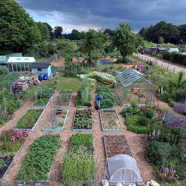 Terraced Vegetable Garden