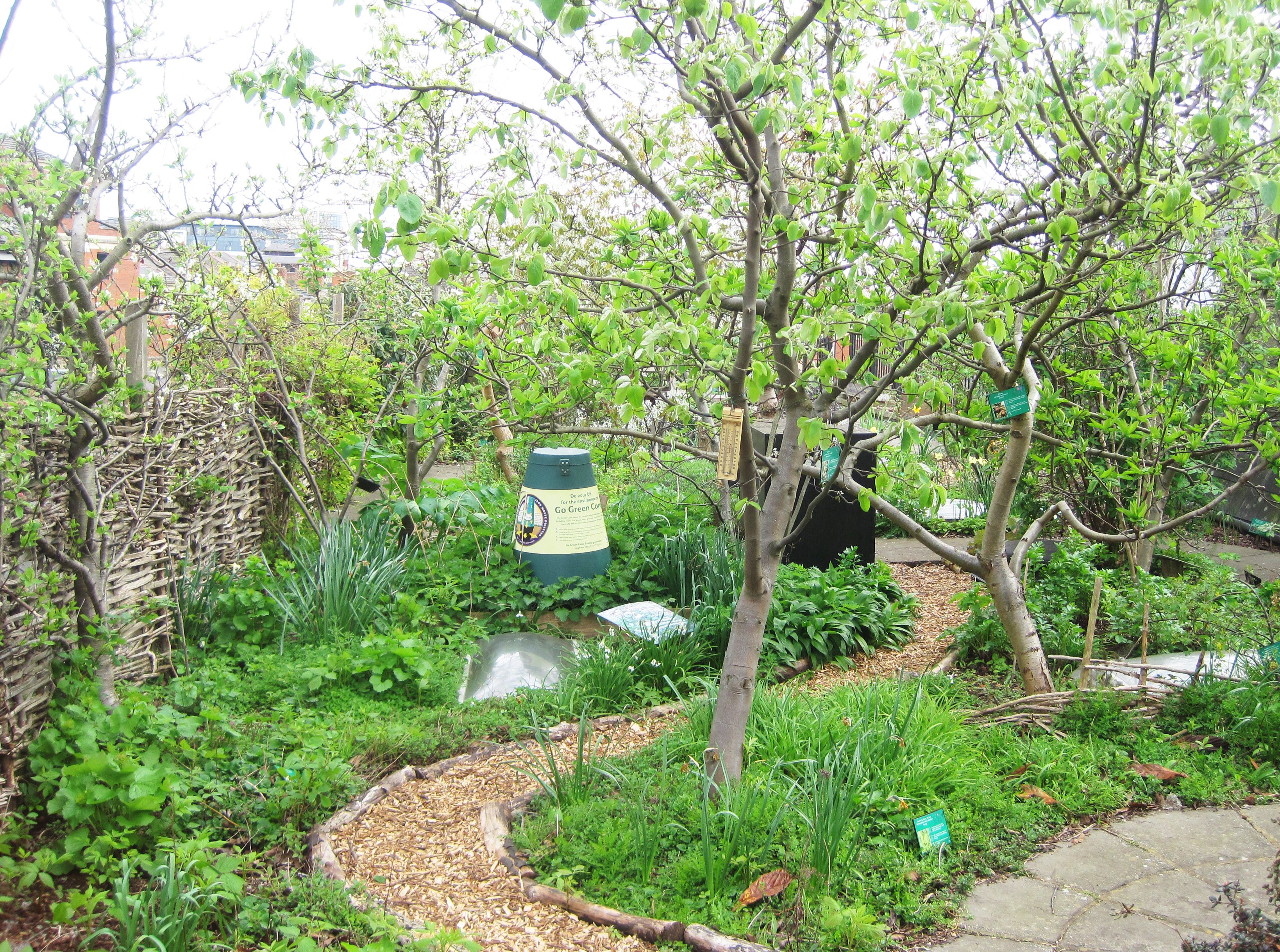 The Orchard Food Forest Garden