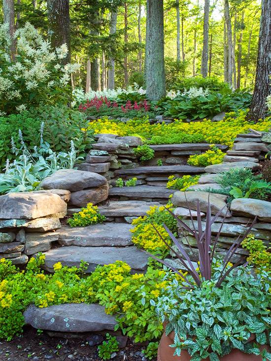 A Woodland Garden Woodland Garden Ideas