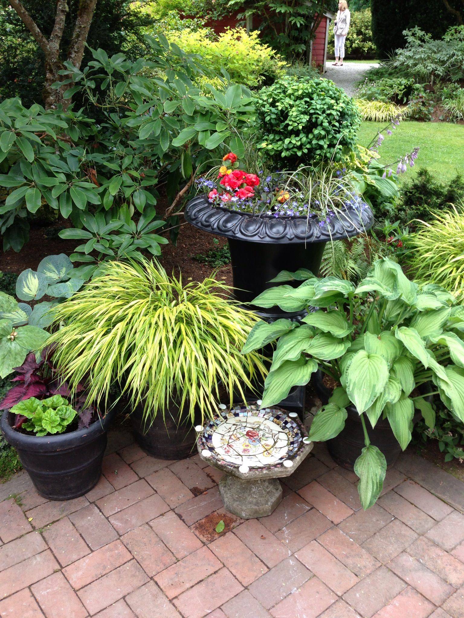 Forest Flower Garden Google Search