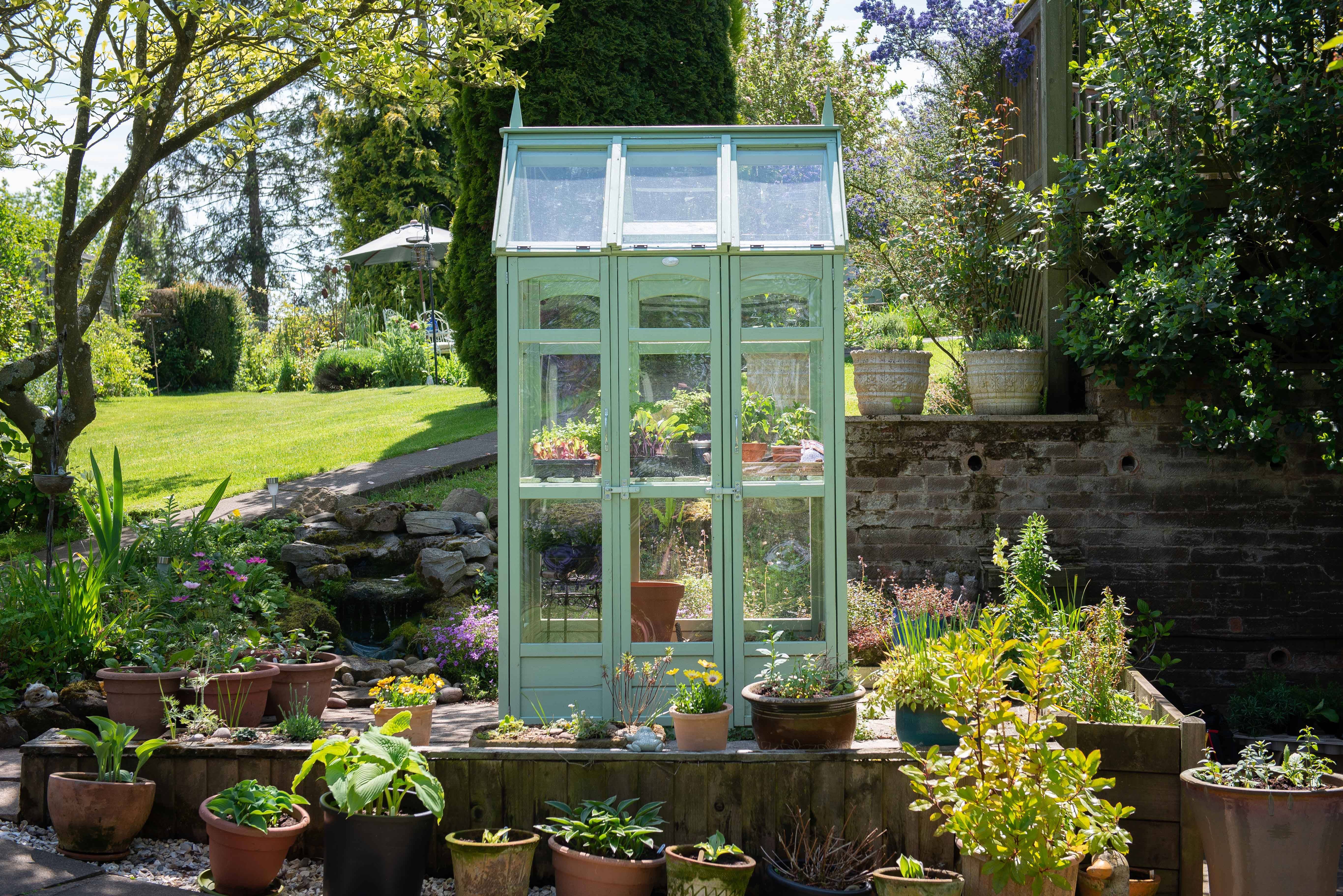 Wall Greenhouse
