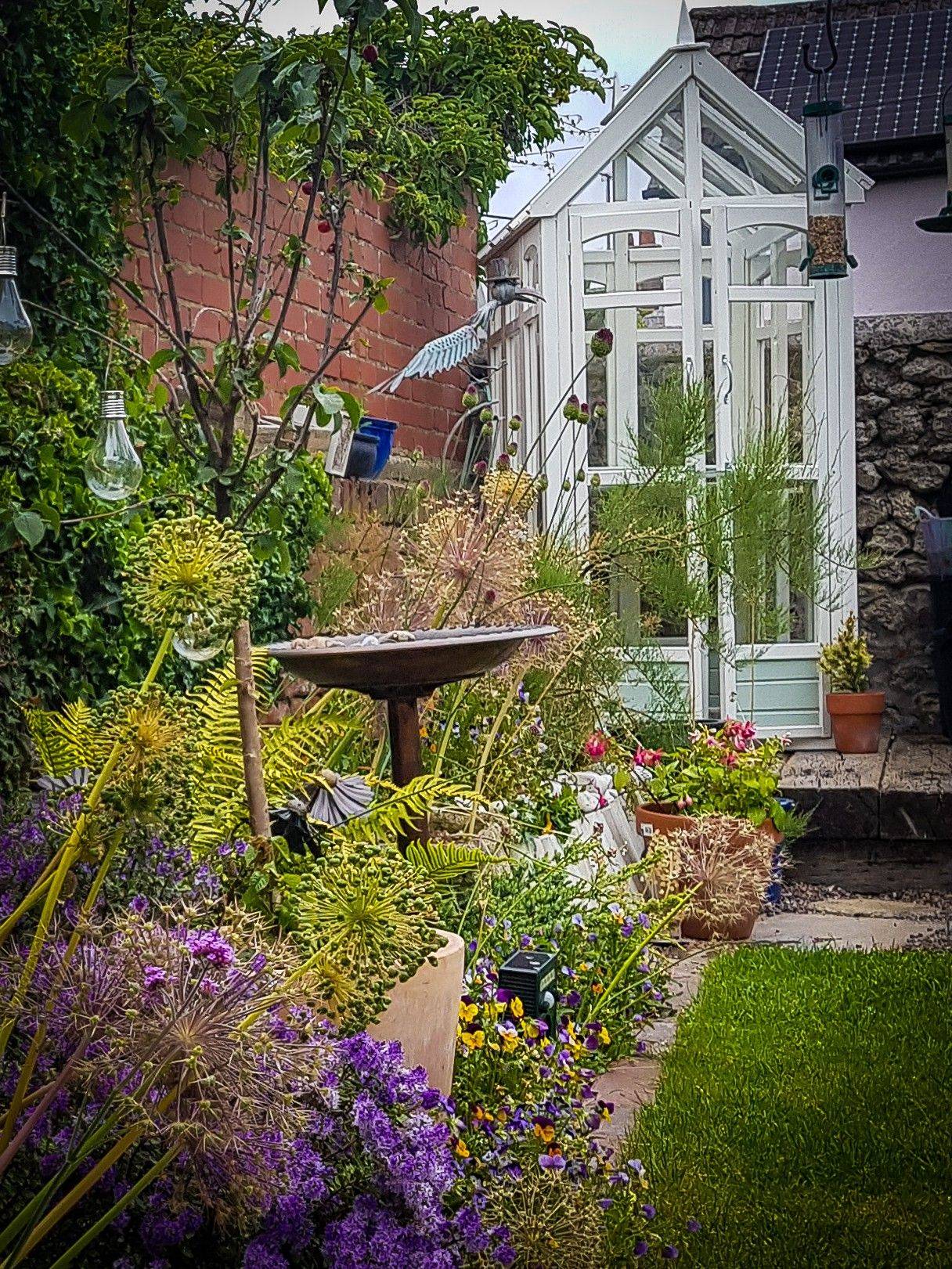 Forest Garden Vale Wooden X Toughened Glass Greenhouse Departments