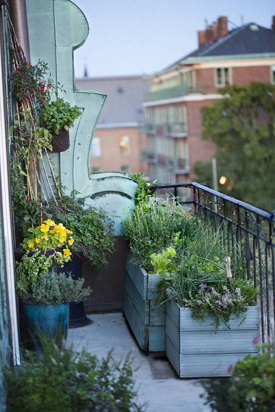 Balcony Garden Ideas