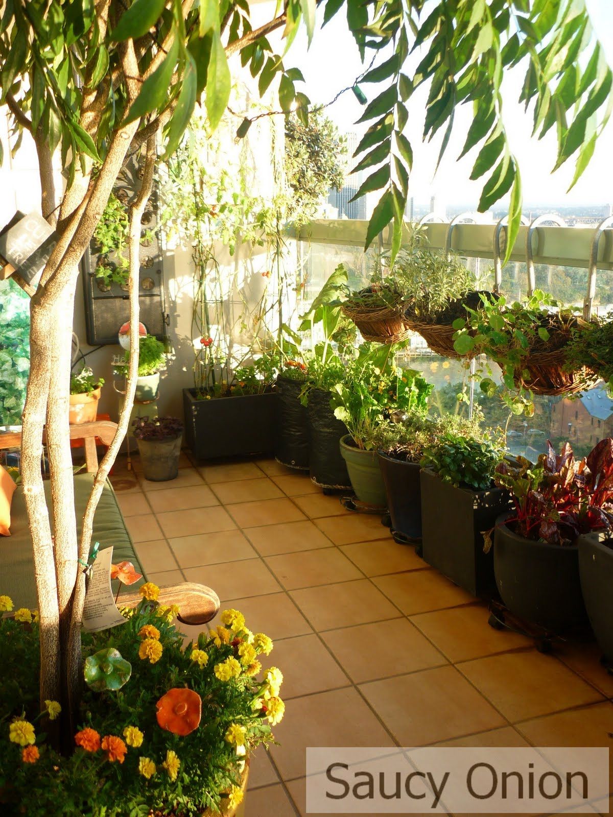 A Tiny Balcony Food Garden Instructables