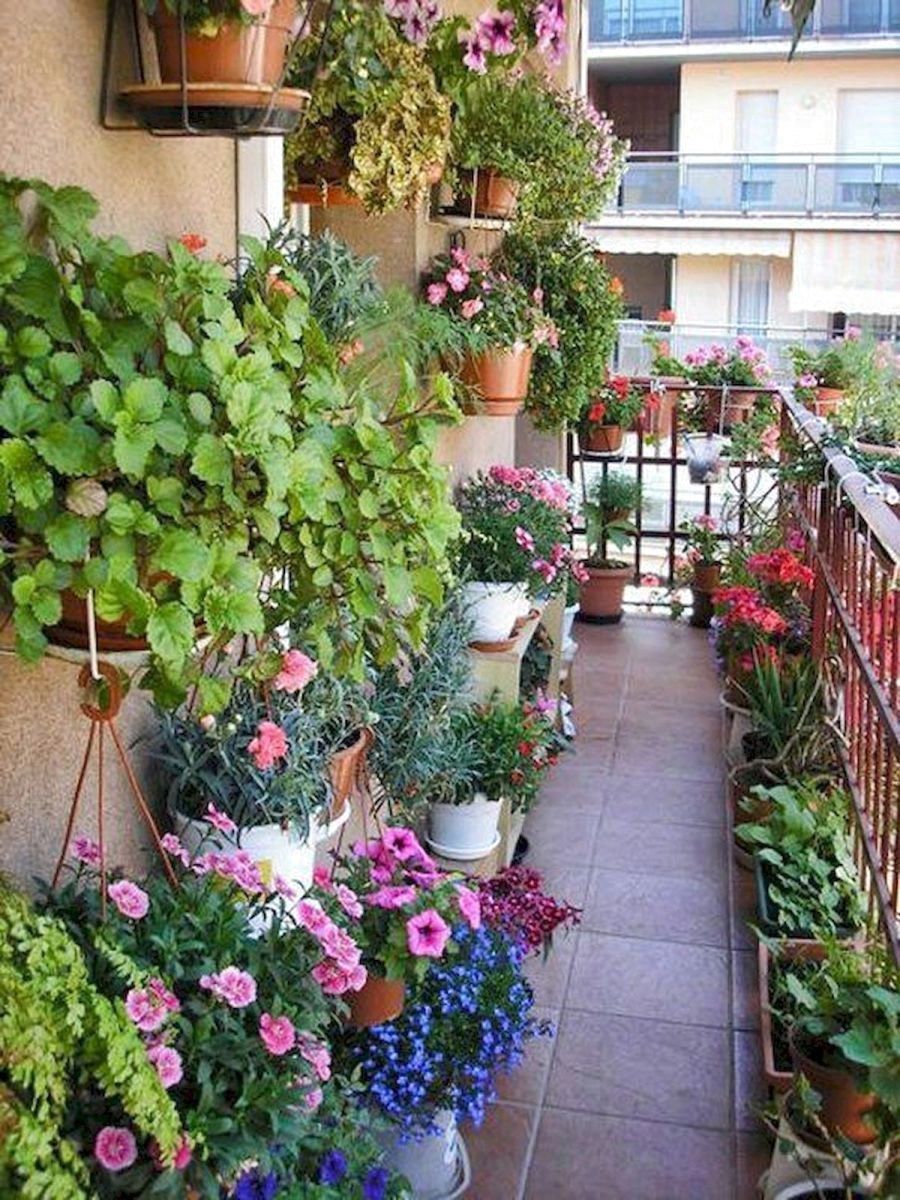 The Edible Balcony Book Apartment Balcony Garden