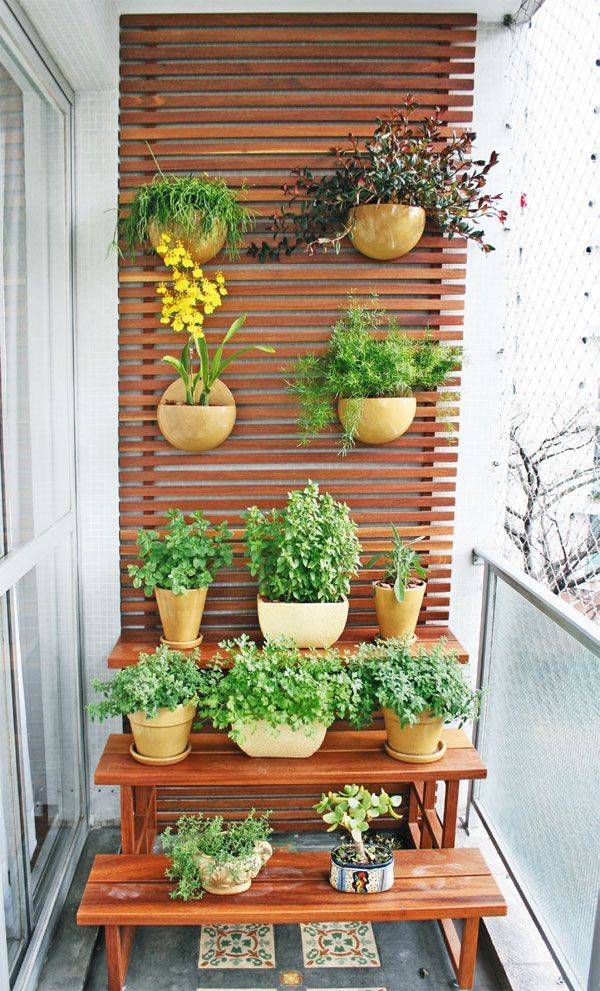 Best Apartment Gardening Ideas