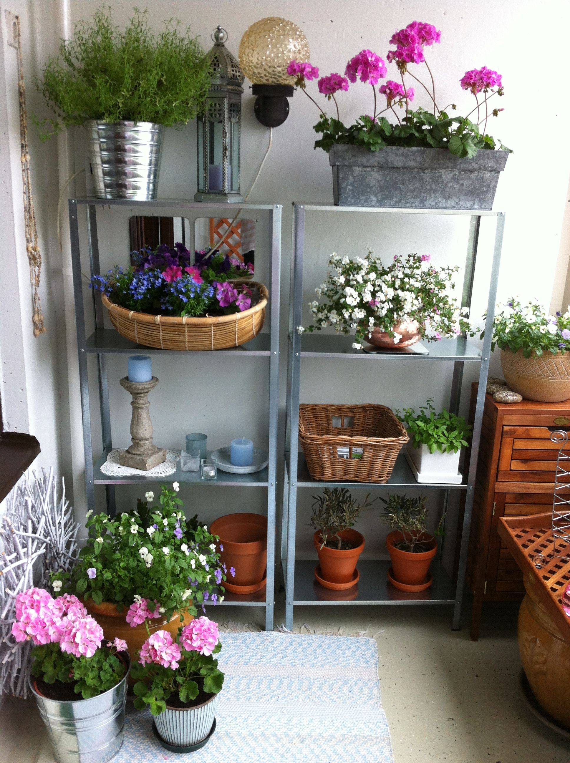 Urban Gardening Ideas