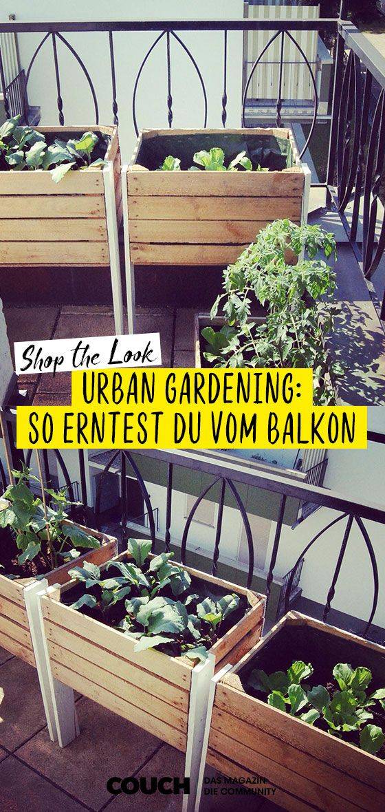 Urban Gardening Ideas
