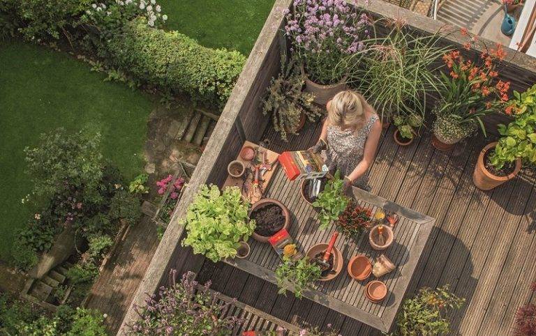 An Urban Herb Garden