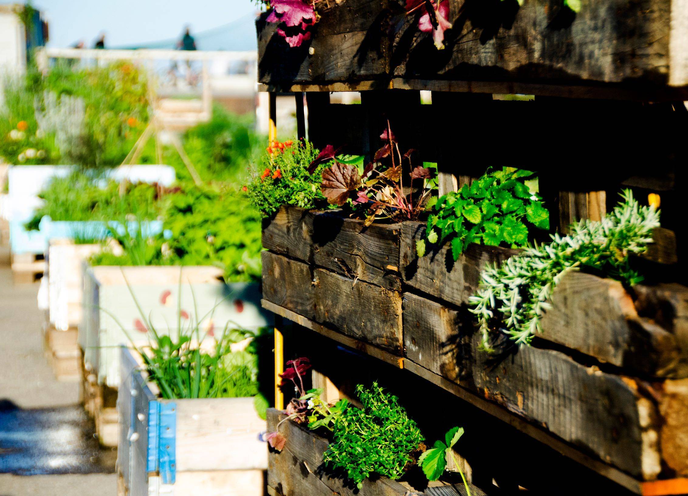 Balcony Garden