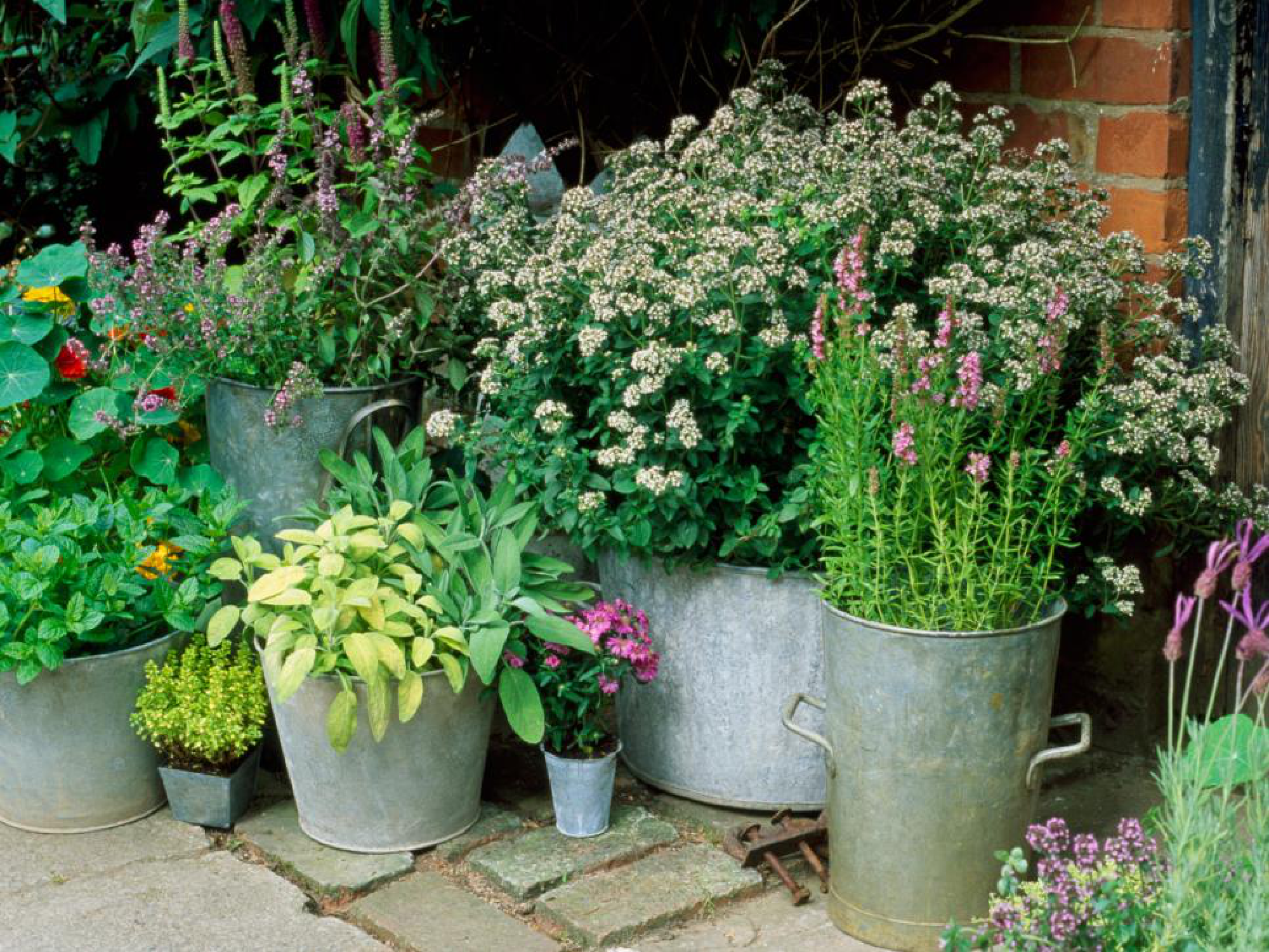 Creative Repurposed Garden Container Ideas