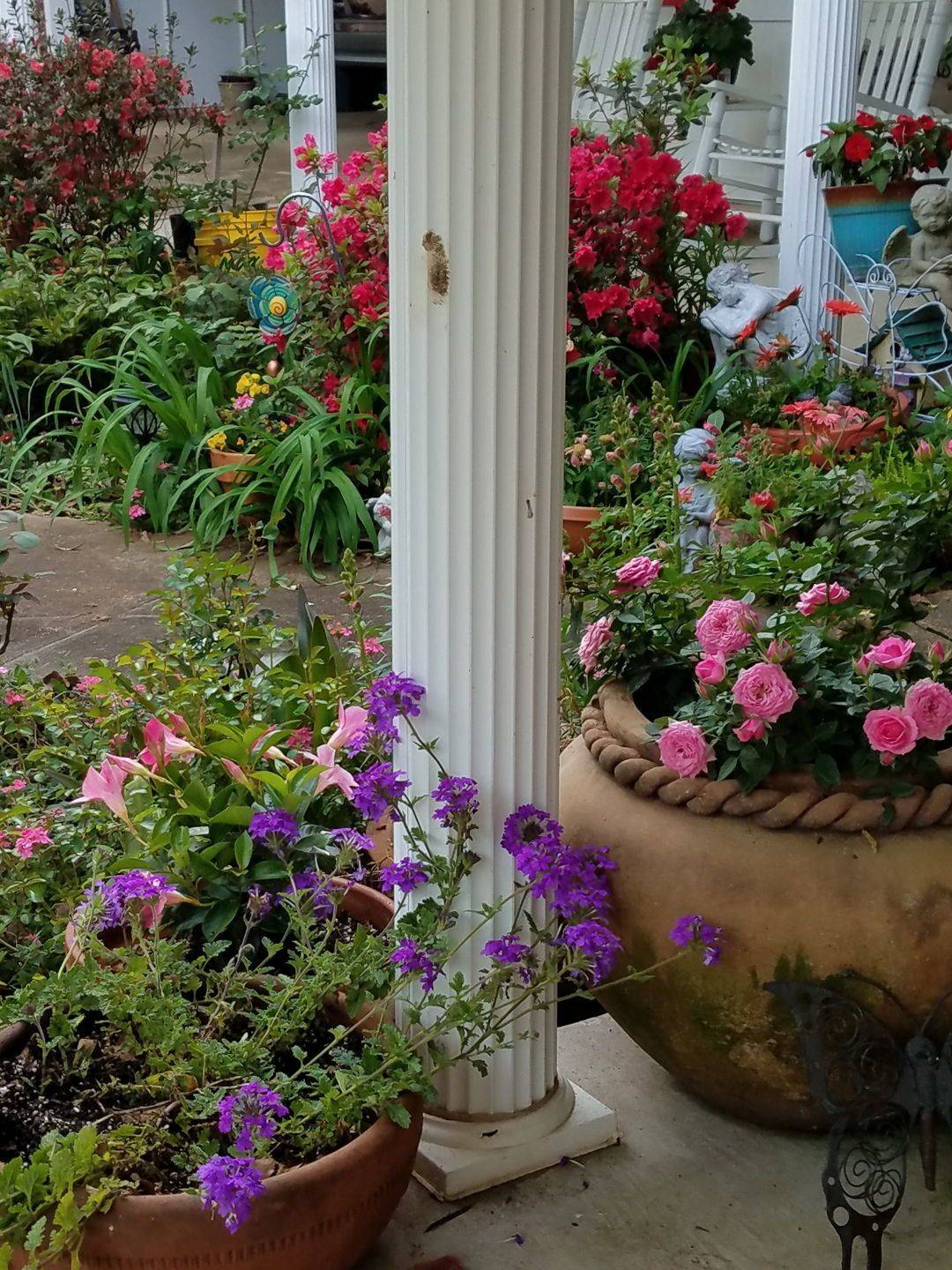 Fantastic Container Gardening Ideas