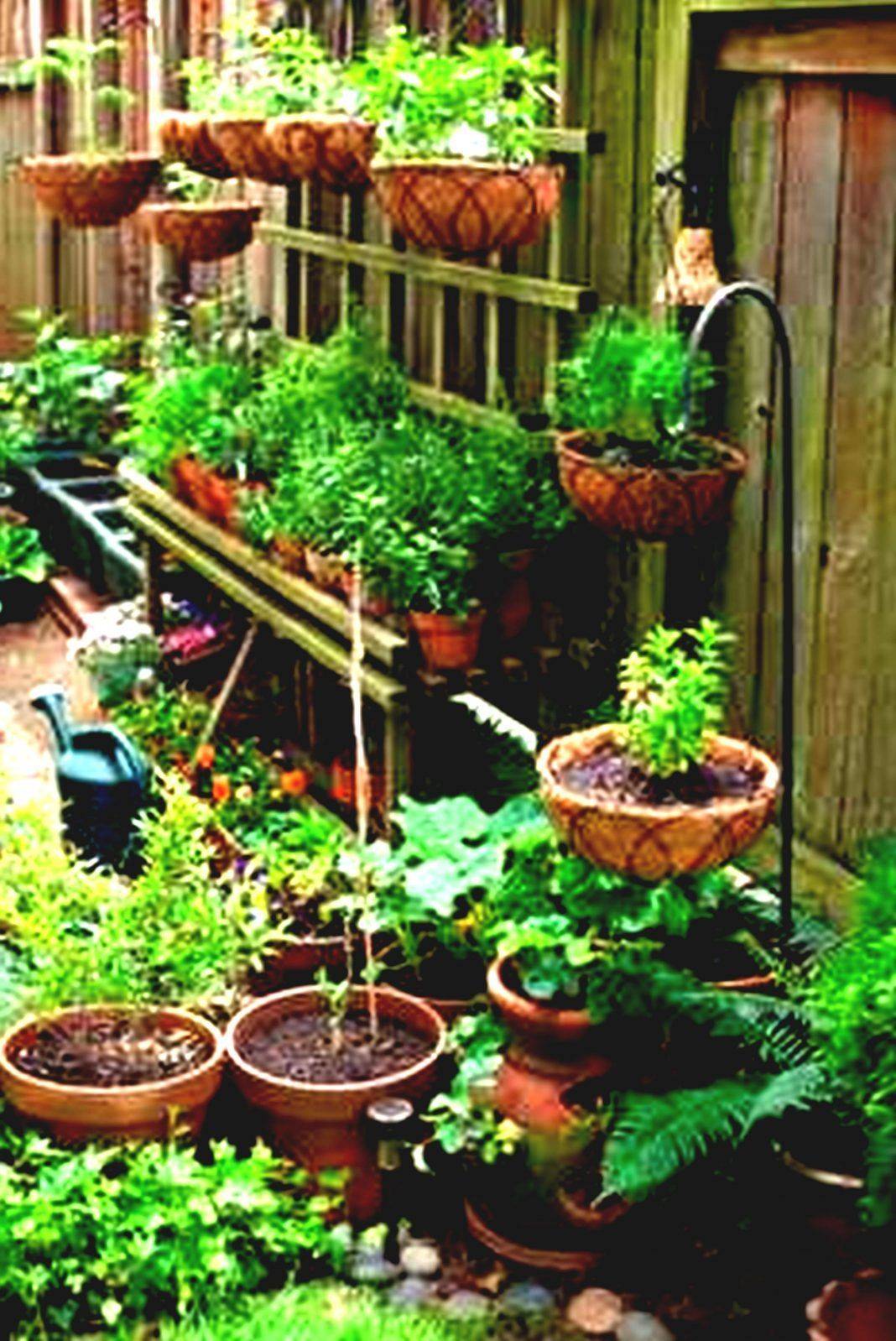 Amazing Creative Gardens Containers Ideas