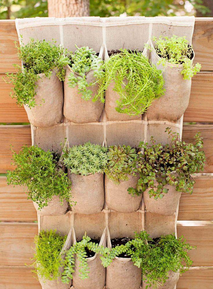 Creative Container Vegetable Gardening Ideas