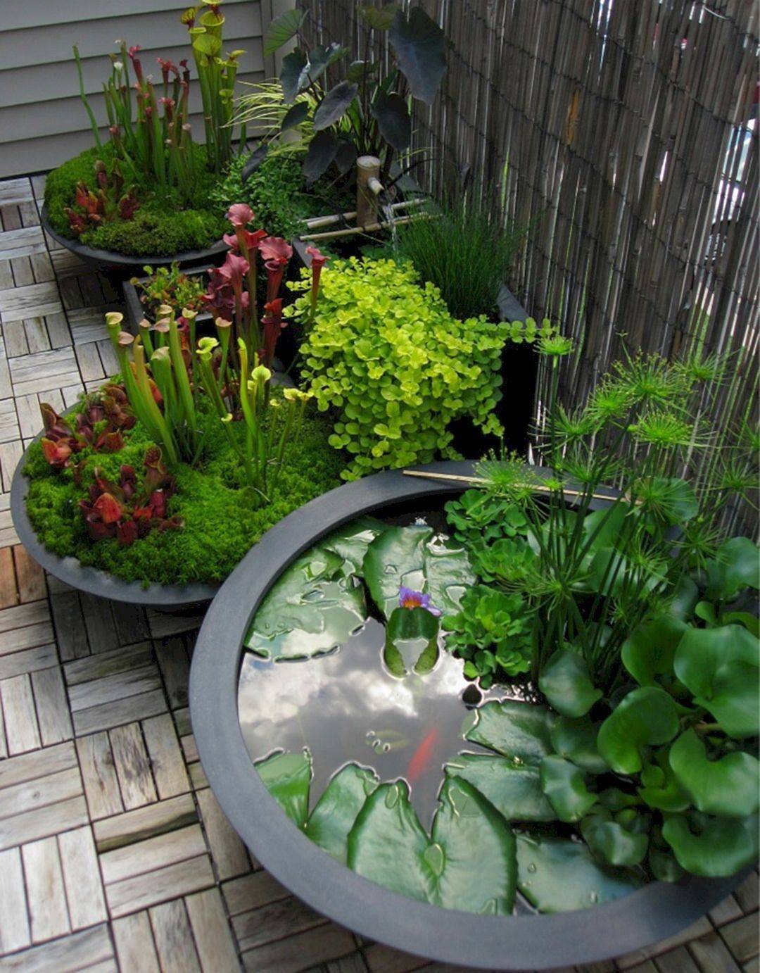 My Small Space Container Garden
