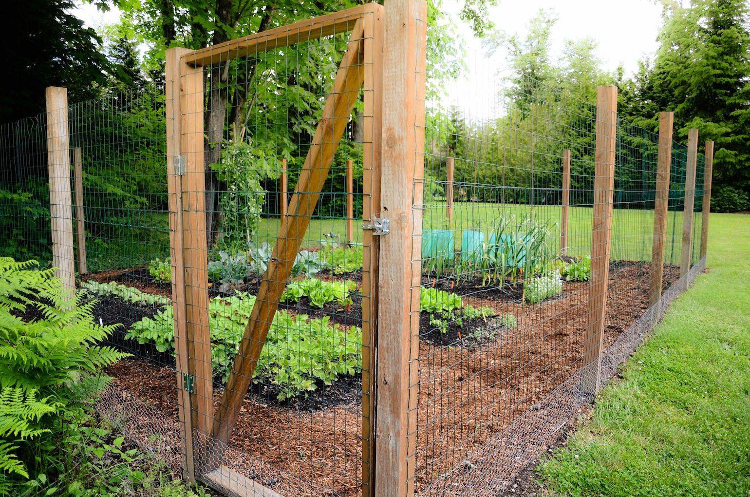 Diy Garden Fence Ideas