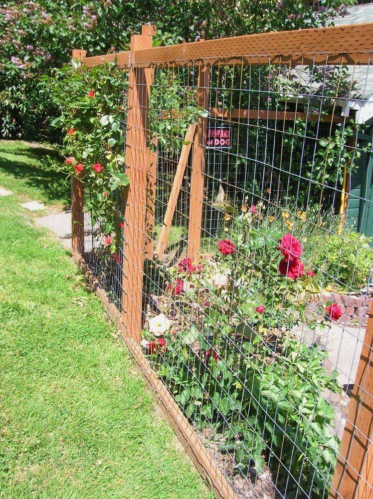 A Deer Fence Showit Blog