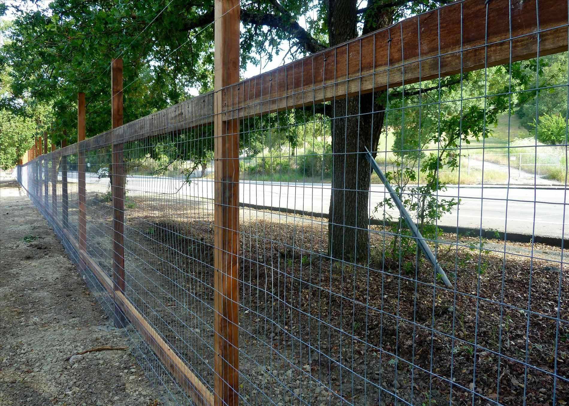 Fenced Vegetable Garden