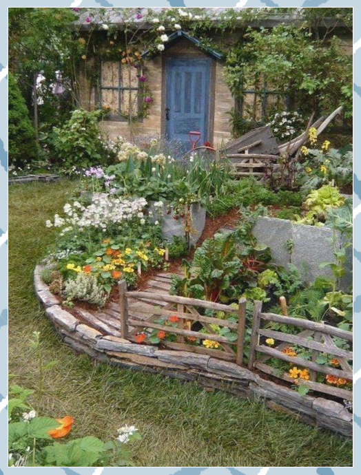 Inspiring Grape Vine Ideas