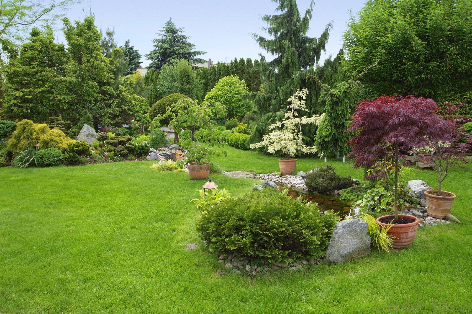 Best Edible Garden Ideas