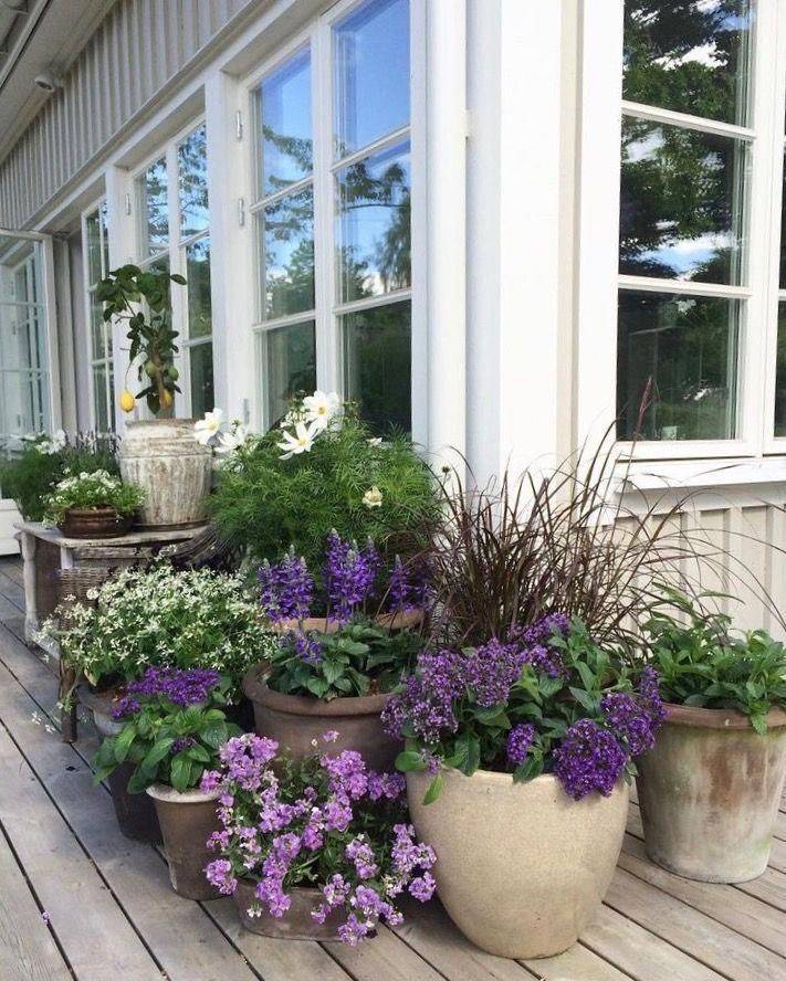 Summer Container Flower Garden Ideas Town Country Living