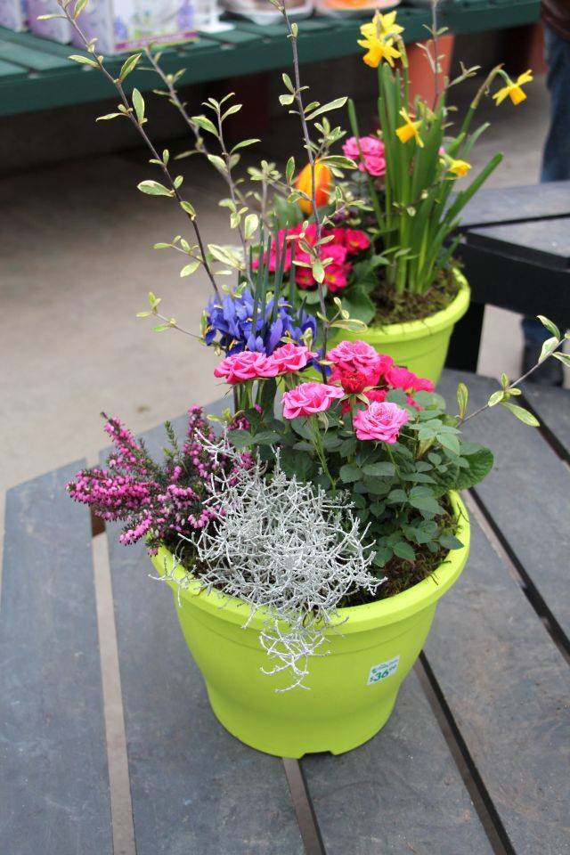 Summer Container Flower Garden Ideas Town Country Living