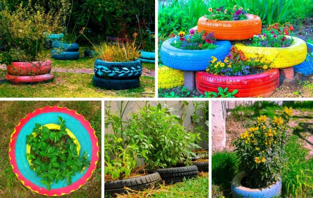 Raised Garden Beds