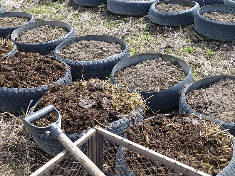 Raised Garden Beds