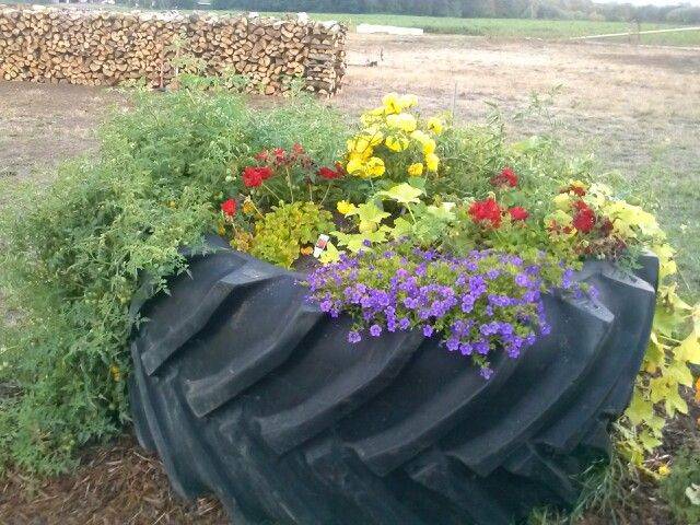 Tyre Gardening Creative Ideas